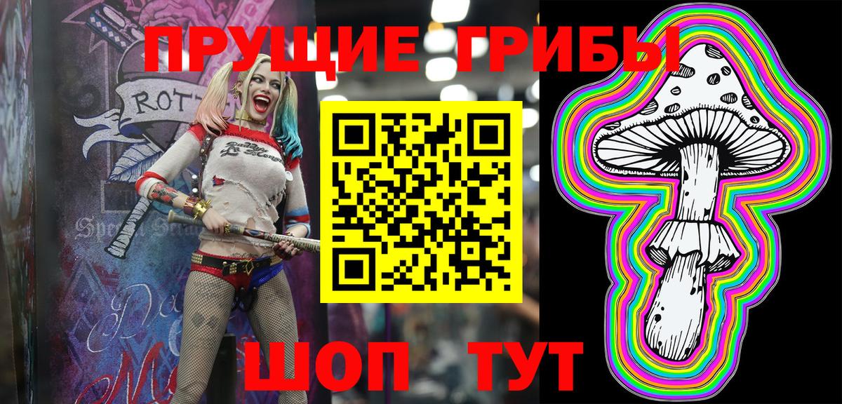 Галлюциногенные грибы Psilocybe Севастополь