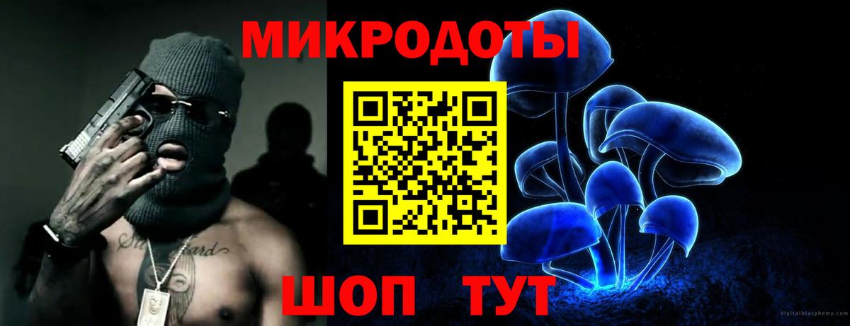 Севастополь  Псилоцибиновые грибы Psilocybine cubensis  Вход с VPN 